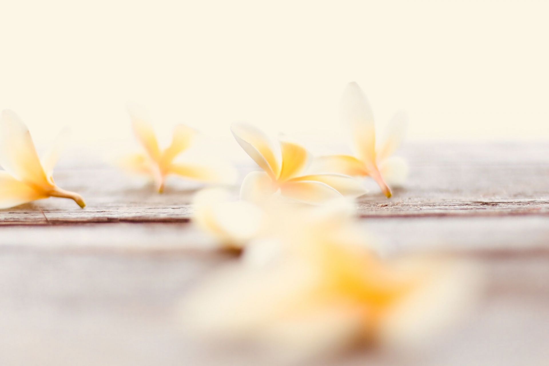 chelsea-audibert-lDEW4qMiizc-unsplash_11.jpg