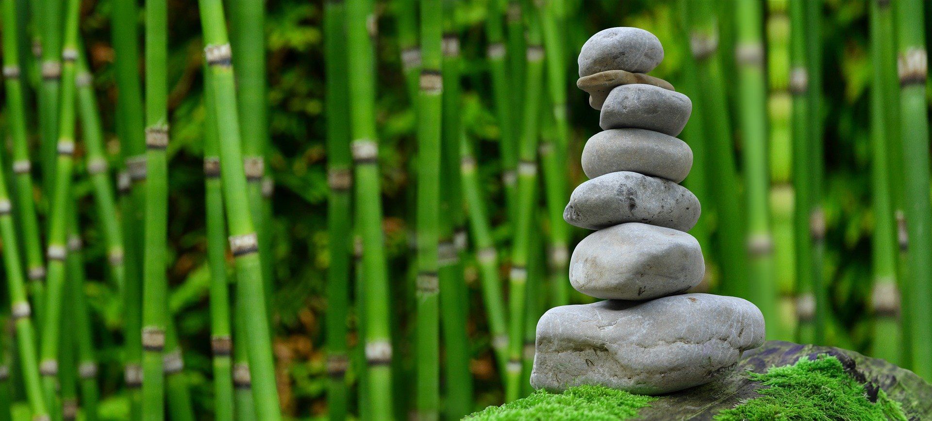  zen-2040340_1920.jpg 